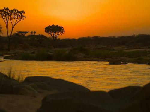 Sarova Shaba Game Lodge