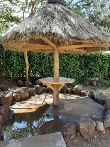 Apartamento Merinja Guest House