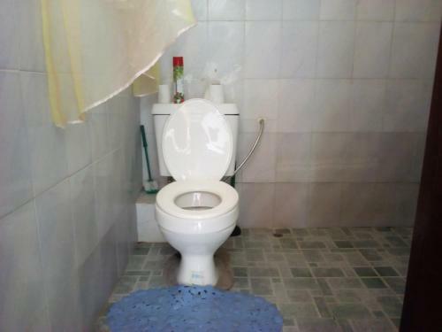 Bed & Breakfast Cdh Backpackers