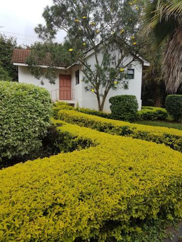 Apartamento One Bedroom Cottage Karen