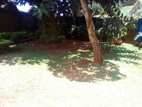 Bed & Breakfast Sherry Homes - Kwetu