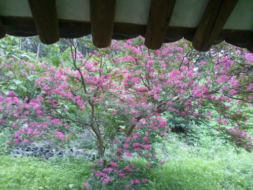Bed & Breakfast Okyeon Jeongsa