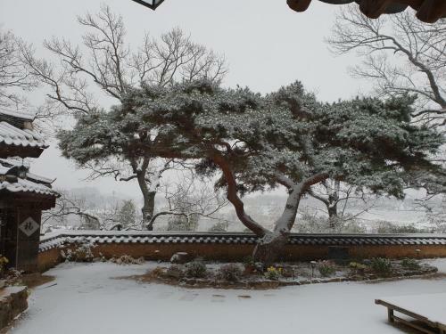 Bed & Breakfast Okyeon Jeongsa