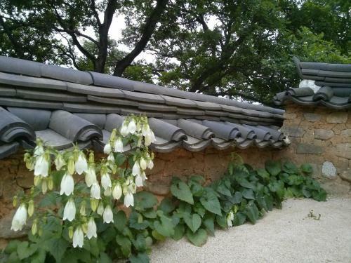 Bed & Breakfast Okyeon Jeongsa