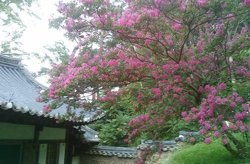 Bed & Breakfast Okyeon Jeongsa