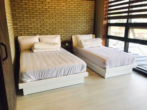 Hostal White Windmill Guesthouse