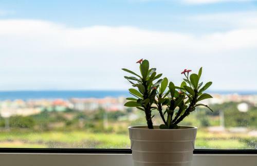 Apartamento Jeju Hill Tower Pension