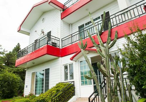 The Jeju Red Roof Pension