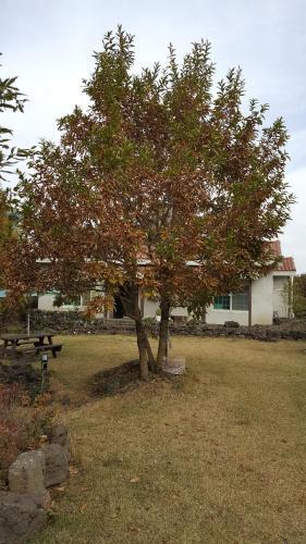 Supgol Private House