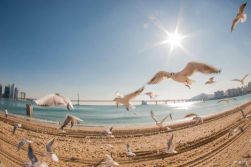 Apartamento New Gwangalli Beach House Maritimo