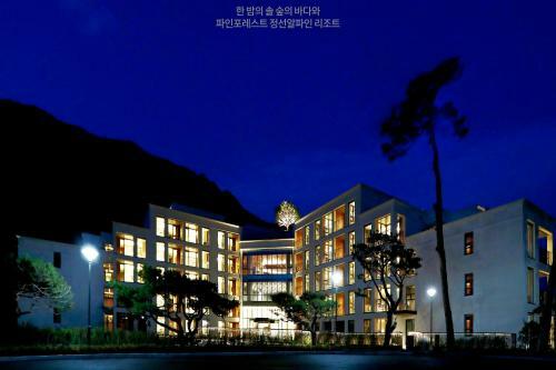 Hotel Pine Forest Jeongseon Alpine Resort