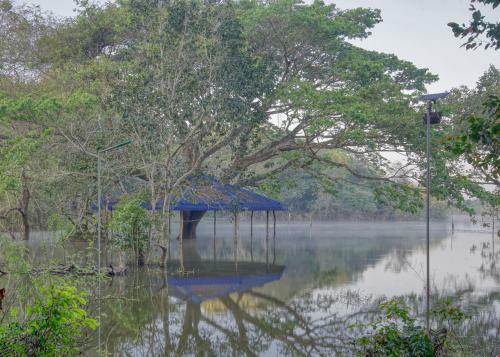 Hostal Yuhibuhi Forest Resort