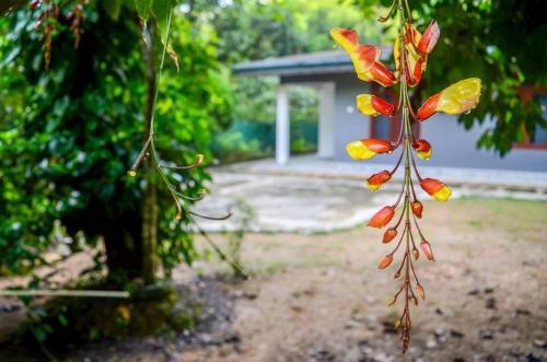 Evergreen Villa