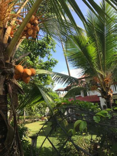 Apartamento Veyangoda Homestay