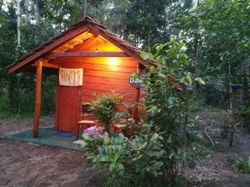 Jungle Paradise