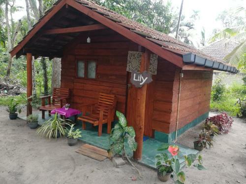 Jungle Paradise