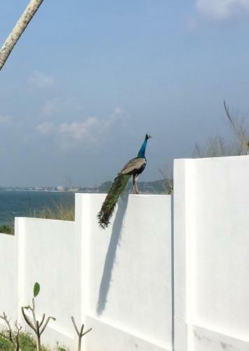 Harbour View Villa