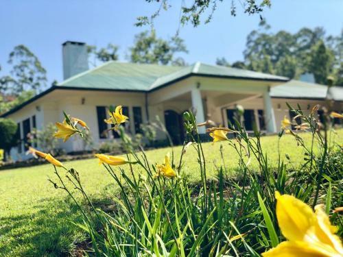 Agroturismo Lynford Bungalow