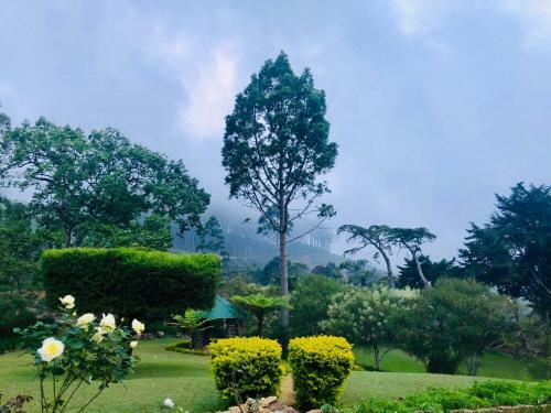 Agroturismo Lynford Bungalow
