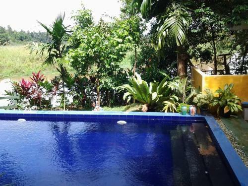 Bed & Breakfast Randoni Villa