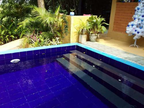 Bed & Breakfast Randoni Villa