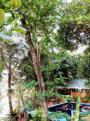 Bed & Breakfast Randoni Villa
