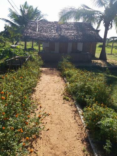 Lodge Wilpattu Village