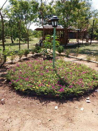 Lodge Wilpattu Village