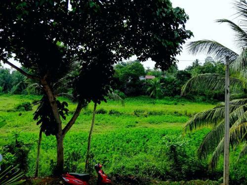 Hotel Devinuwara Cs Guest Inn