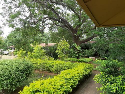 Hotel Janith Resort Yala