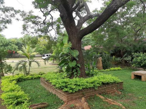 Hotel Janith Resort Yala