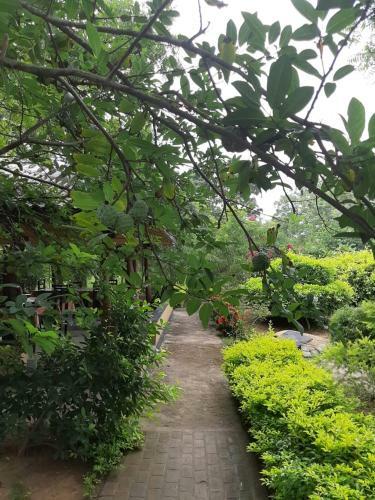 Hotel Janith Resort Yala