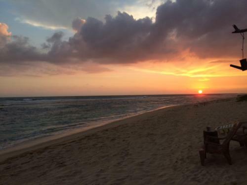 Hostal Blue Corals Beach Bungalow