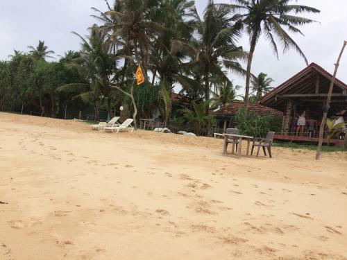 Hostal Blue Corals Beach Bungalow