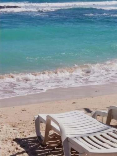 Hostal Blue Corals Beach Bungalow