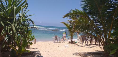 Hostal Blue Corals Beach Bungalow