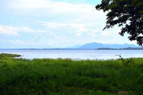 Hotel Elephant Pass - Minneriya