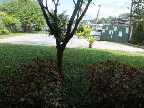 Hostal Hillsview Rest & Guest House