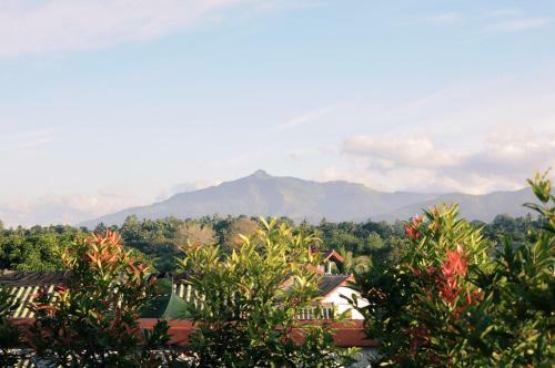 Mountain View Lodge