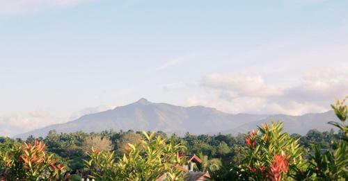 Mountain View Lodge