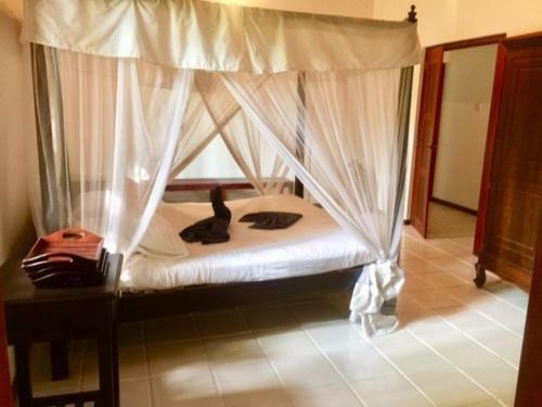 Bed & Breakfast Santoshi Villa