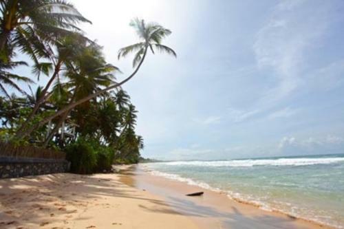 Bed & Breakfast Santoshi Villa