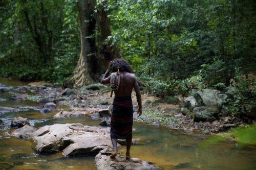 Villa Gal Oya Lodge