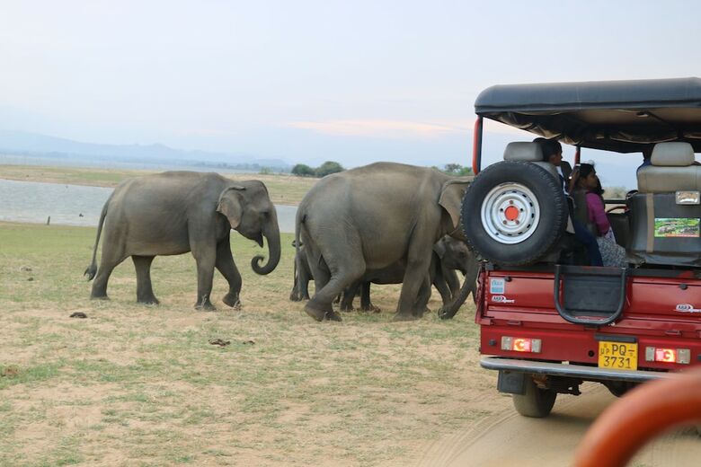 Dev's Campground - Tented Safari