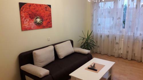 Gra?inos Apartamentai