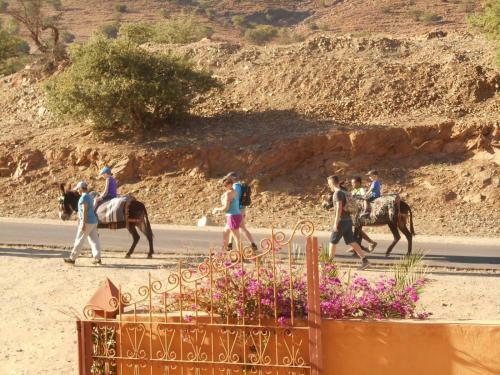 Hotel Auberge Kasbah Chez Amaliya