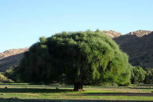 Hotel Auberge Kasbah Chez Amaliya
