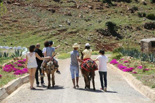 Bed & Breakfast Dar El Mandar - Ferme & Table D'h�te Berb�re