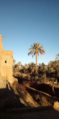 Hostal Kasbah Maktob Tamnougalt