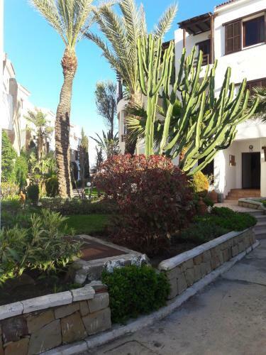 Apartamento R�sidence Ylara Beach